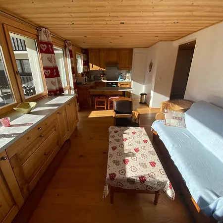 Fonctionnel Au Centre De Chatel, Proche Des Pistes - Fr-1-693-110 * شاتيل